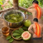 17 Amazing Benefits of Guava Leaf Tea: A Traditional Herbal Drink for Everyday Wellness