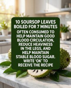 Boil 10 Soursop Leaves for 7 Minutes: A Traditional Herbal Tea That May Support Everyday Wellness