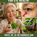 Oregano for Eye Health: A Simple Herbal Ally to Support Your Daily Vision Naturally
