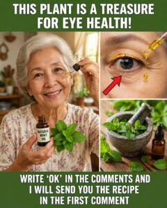 Oregano for Eye Health: A Simple Herbal Ally to Support Your Daily Vision Naturally