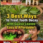 3 Simple Ways Guava Leaves May Help Support Oral Health Naturally