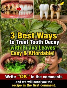 3 Simple Ways Guava Leaves May Help Support Oral Health Naturally