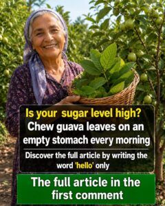 Guava Leaf Tea: Can It Help Support Healthy Blood Sugar Levels?