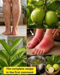 The Green Leaves That May Help Reduce Ankle Swelling Naturally: A Gentle Guide to Guava Leaf Tea