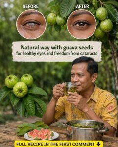 Guava for Eye Health: A Natural Approach That’s Gaining Attention