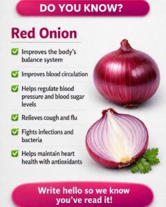 Purple Onion Benefits for Your Health: A Natural Addition to Everyday Wellness