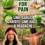 Natural Herbal Blend: Chayote, Garlic & Lime for Everyday Wellness