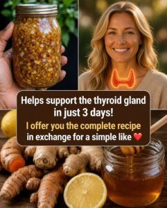 Garlic and Honey for Blood Pressure: A Gentle Traditional Approach to Supporting Heart and Circulatory Health 🧄🍯❤️