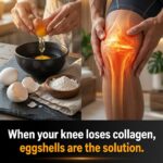Can Everyday Eggshell Membranes Support Joint Comfort? What Science Says About This Simple Kitchen Habit