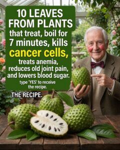 Chronic Aches and Pains: Can Natural Remedies Really Help?