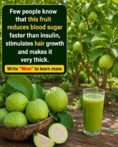 🌿 Guava: A Refreshing Tropical Fruit That May Support Wellness Naturally
