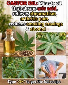 Castor Oil: 25 Practical Uses, How to Use It Safely, and What You Should Know