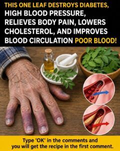 Discover the Power of Neem Leaves: A Natural Ally for Everyday Wellness