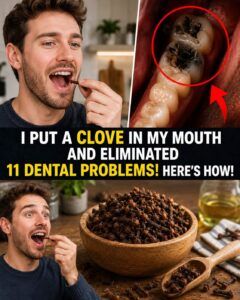 🌿 Cloves: A Traditional Aromatic Spice That May Support Oral Wellness, Digestive Comfort, and Everyday Well-Being ✨