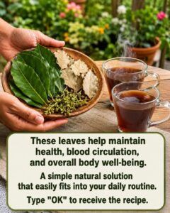 Three Herbal Leaves That May Support Blood Sugar, Heart Health, and Everyday Wellness