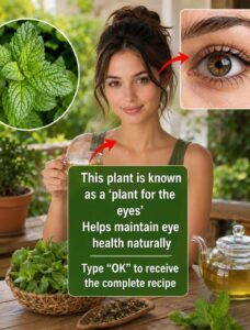 Clearer Vision Starts with Simple Daily Habits: Why Oregano Is Gaining Attention for Eye Wellness