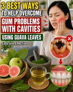 3 Gentle Ways to Use Guava Leaves to Support Better Oral Care and a Healthier Smile