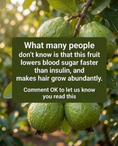 Guava Fruit: A Natural Way to Support Healthy Blood Pressure 🌿
