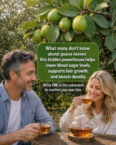 Guava: A Nutrient-Rich Fruit That May Support Healthy Blood Sugar and Overall Wellness