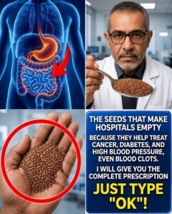 The Tiny Seeds That Quietly Support Healthy Blood Sugar, Blood Pressure, and Circulation