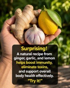 Honey, Lemon, Onion, Garlic, and Ginger Elixir: Real Benefits, What Science Says, and How to Make It Safely