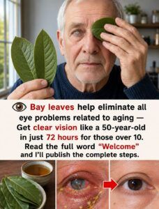 Guava Leaves and Aging Eyes: What They May Offer—and What They Cannot Do
