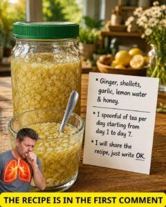 Why More People Are Turning to Natural Kitchen Blends for Everyday Wellness