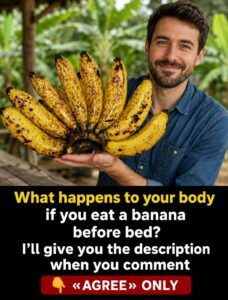 Eating a Banana Before Bed: What It May Do for Your Body and Sleep 🍌🌙