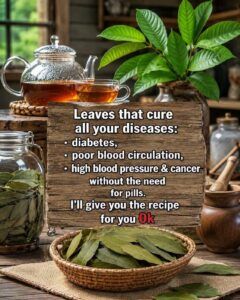 Oregano Poleo, Bay Leaf, and Guava Leaf Tea: A Traditional Herbal Infusion to Support Everyday Wellness