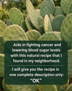 Nopal (Prickly Pear Cactus): The Desert Super Plant That May Support Everyday Wellness Naturally 🌵