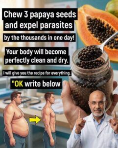 Papaya Seeds: A Small Superfood That May Support Liver Health and Healthy Weight Management