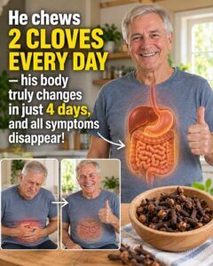 2 Cloves a Day: A Simple Spice Habit for Oral Health, Digestion, and Healthy Blood Sugar