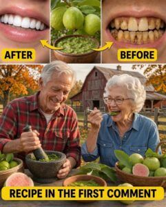 Discover Nature’s Secret: 3 Powerful Guava Leaf Remedies to Support Oral Health and Help Protect Your Smile 🍃🦷