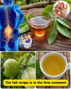17 Ways Guava Leaf Tea May Support Everyday Wellness + An Easy Homemade Recipe