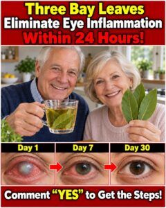 Guava Leaves and Eye Comfort: A Gentle Look at a Traditional Wellness Practice