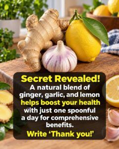 🍯🍋 Honey, Lemon, Onion, Garlic & Ginger: A Simple Homemade Wellness Blend