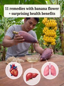 Creating banana flower health image 4K 20260915172056