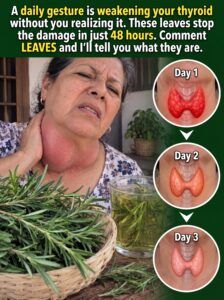 Edit thyroid images and text 4K 20260913083349 Edit thyroid images and text 4K 20260913083349