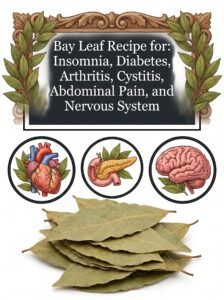 Grandma’s Traditional Bay Leaf Recipe: A Simple Herbal Infusion for Relaxation and Everyday Wellness