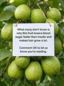 Guava tree with sign 2K 20260922152247