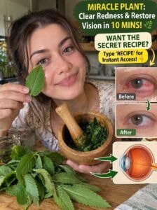 Eyebright Triggers a Fast Reset for Red, Blurry, Burning Eyes
