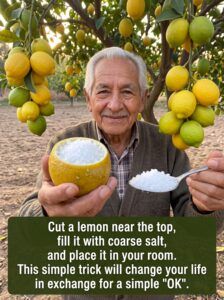 Man holding salt and lemon 4K 20260916101230 Man holding salt and lemon 4K 20260916101230