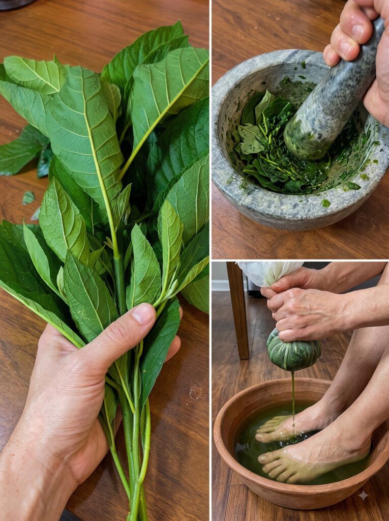 Processing and preparing leaves 2K 20260928100013