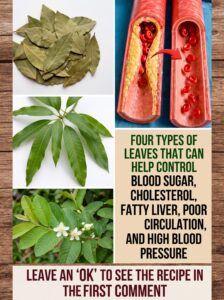 4 Types of Leaves That May Support Blood Sugar, Liver Health, Circulation and Blood Pressure Naturally
