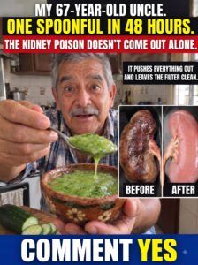 The truth about kidney cleansing “remedies”: what actually helps and what just sells fear