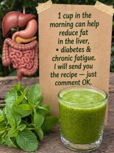 🍃 Mint and Lemon Juice: The Natural Drink that Refreshes, Detoxifies, and Gives You More Energy