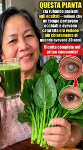 Gli spinaci migliorano la vista e alleviano rapidamente l’affaticamento degli occhi.