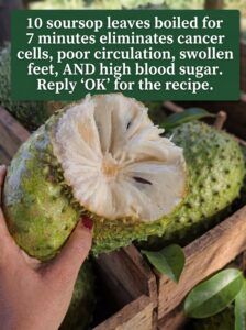 Translating image prompt text 4K 20260918103317