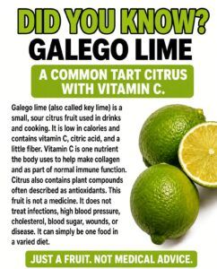 Galego Lime (Key Lime): A Tart Citrus with Vitamin C — and Honest Limits