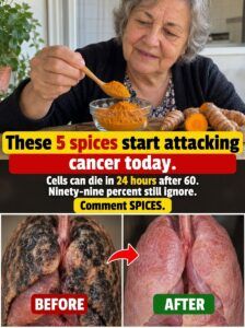 These 5 specialists activate the fight against canker in the body